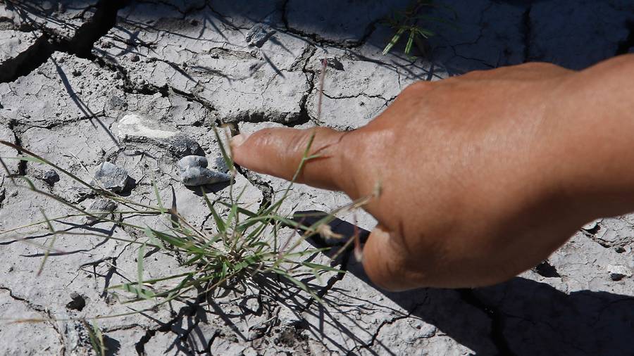 Más de un año pasó para que Patrocinio llamara la atención
