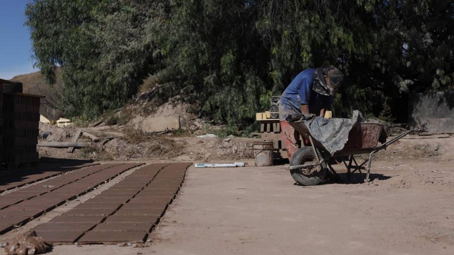La Secretaría de Medio Ambiente trabaja con el Municipio para regularizar la actividad con nuevas tecnologías, reubicación y combustibles menos contaminantes.
