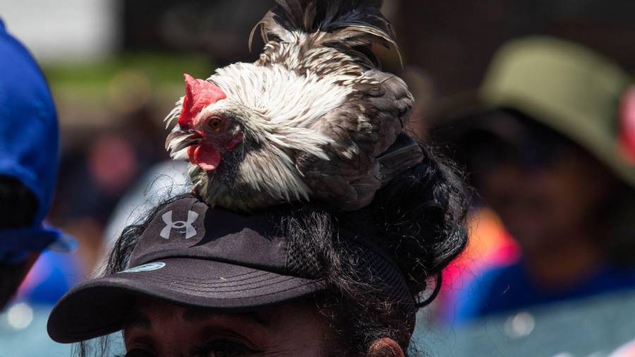 La diputada recordó que la legislación vigente no contempla de manera específica las dinámicas del entorno digital.