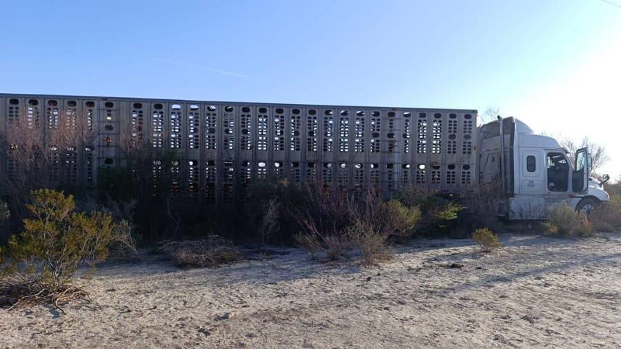 La unidad de carga, que terminó sin volcar pese al incidente, sufrió daños materiales de consideración, mientras que en el lugar se reportaron personas lesionadas, aunque ninguna de gravedad.
