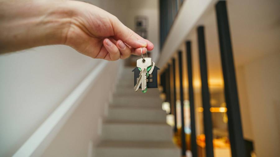 La AMPIA prevé que durante 2025 se registre una recuperación en el sector, aunque no dio datos concretos.