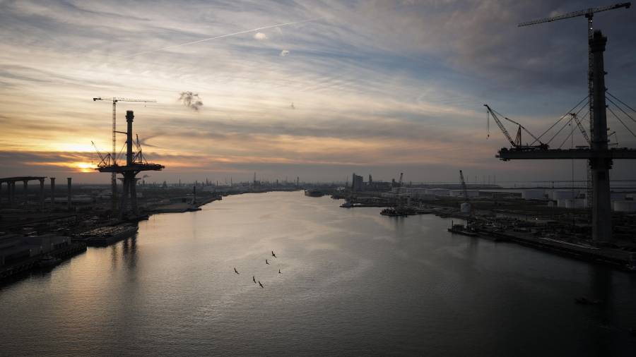Pájaros sobrevuelan el puerto de Corpus Christi al atardecer del jueves 16 de noviembre de 2023 en Corpus Christi, Texas.