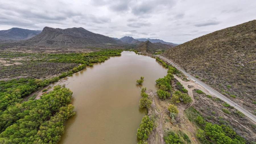 La presa Palo Blanco recibe siembra de peces durante primavera y verano para favorecer su adaptación y crecimiento.