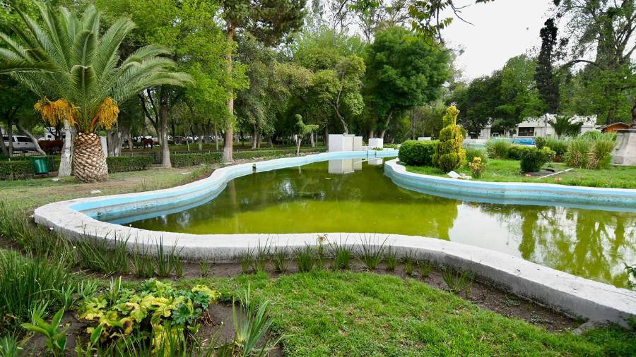 En el lugar se detectaron restos de ramas y lama en distintas zonas del lago.