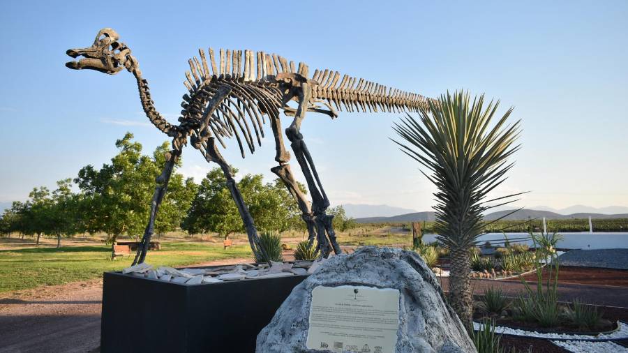 El gobernador dijo que la temporada es ideal para visitar Coahuila aprovechando condiciones de seguridad.