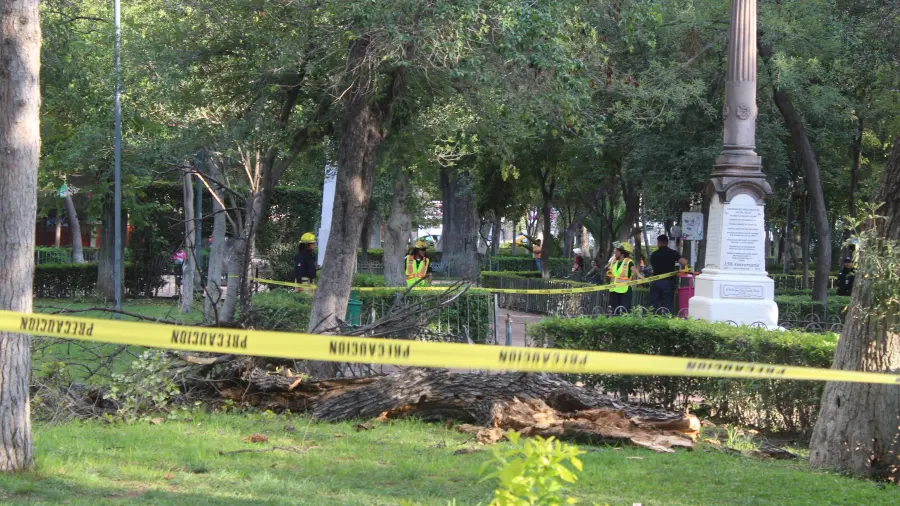 Bomberos acudieron al lugar para acordonar el área.