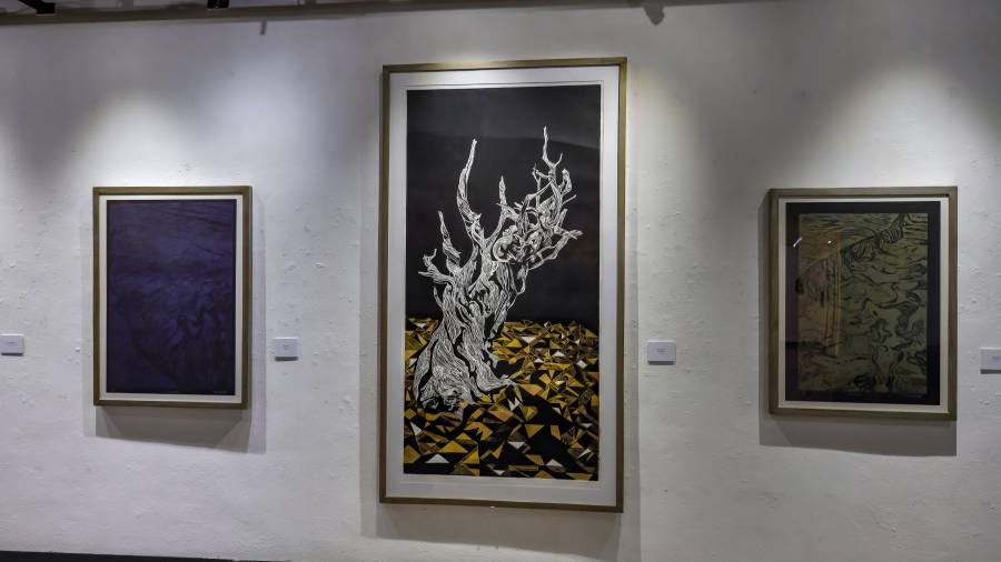 Museo de Artes Gráficas celebra su aniversario 14 con dos exposiciones de grabado