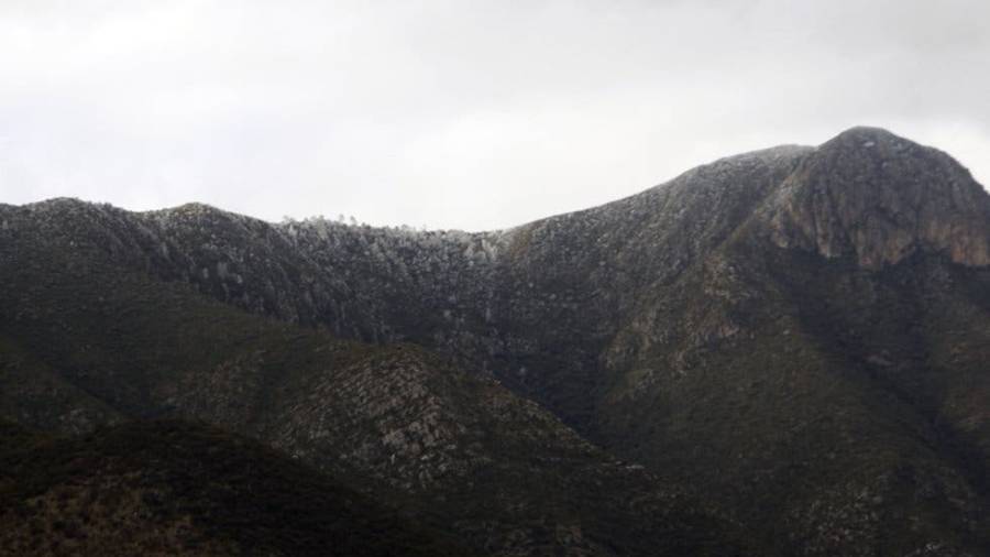 Gerardo Garza: Caminar Zapalinamé por 8 horas