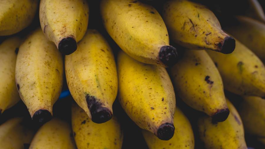 Esta semana tuvimos la fortuna de recorrer Tuxtla Gutiérrez, Tonalá, Pijijiapan y Puerto Arista, Chiapas.