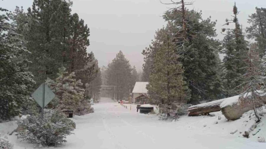 El nuevo frente frío y su masa de aire frío traerán temperaturas de hasta -10 grados en la República Mexicana.