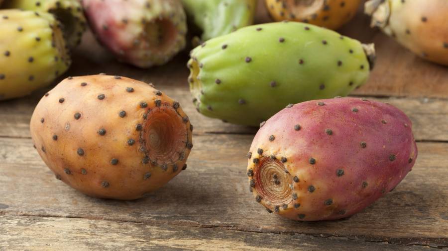 El ingrediente de hoy: la tuna.