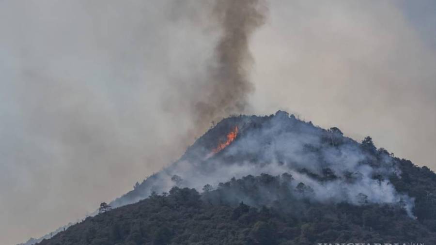 Las condiciones que han prevalecido en este 2025 generan una alerta por posibles incendios forestales en pleno invierno.