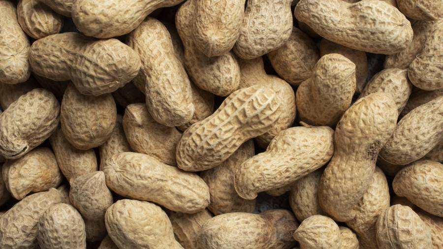 El ingrediente de hoy: Cacahuate.