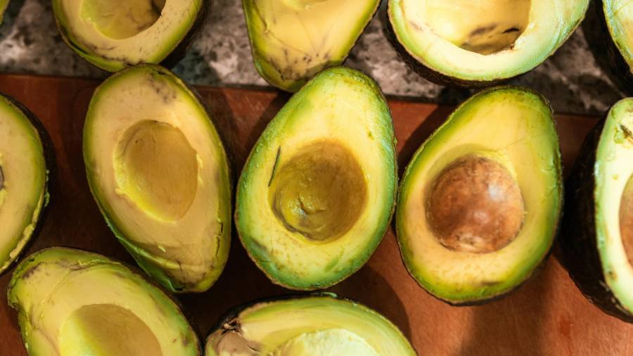 Las hojas de aguacate se utilizan en té para aliviar malestares estomacales y respiratorios.