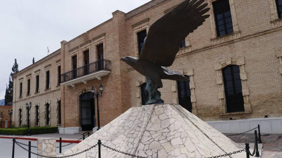 El Museo de las Aves te invita a combatir la presencia de envases de PET en las calles; por cada 15 botellas vacías y limpias te estarán regalando una suculenta.