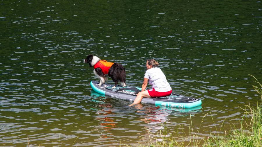 Los ‘perrhijos’ se vienen de vacaciones: la revolución del mercado playero para mascotas