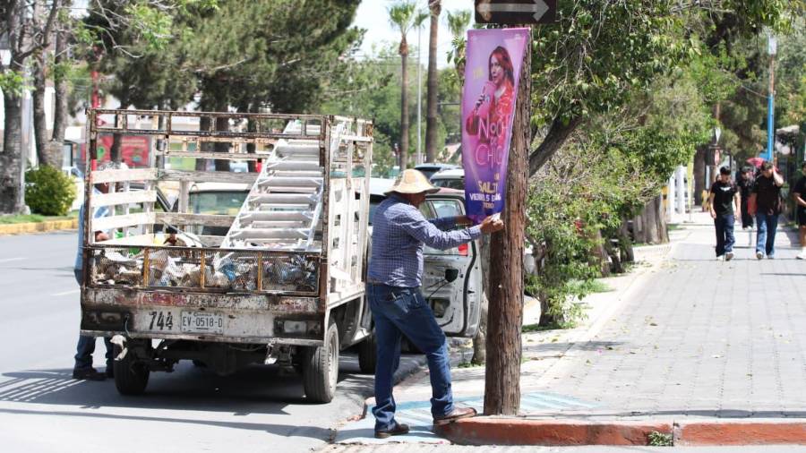 La intervención busca mejorar visibilidad y reducir riesgos en la vialidad