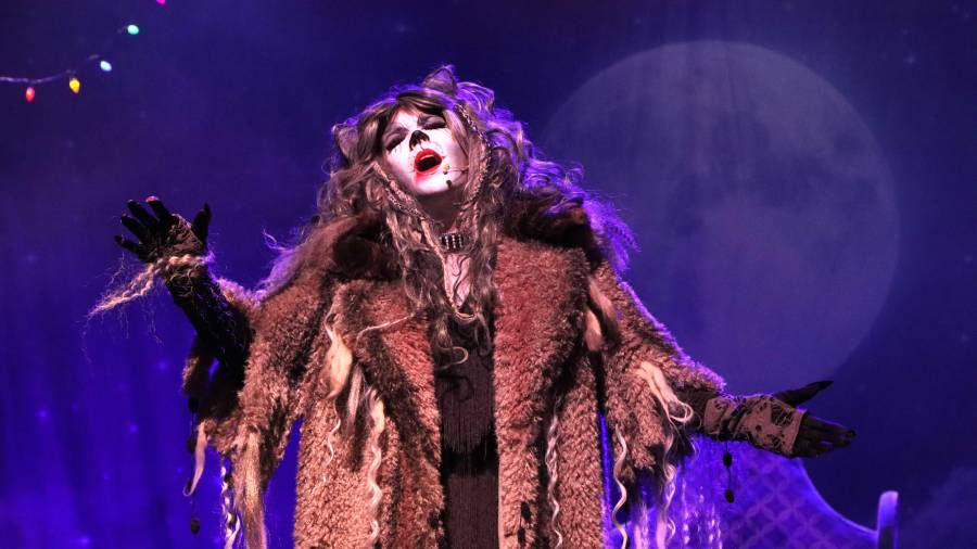 Cuarta Pared trajo la calidad de Broadway a Saltillo con ‘Cats’: Ya preparan producciones en CDMX