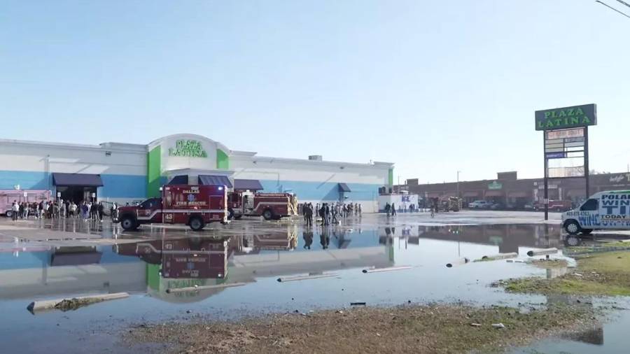 Las llamas del incendio nunca alcanzaron a los animales.