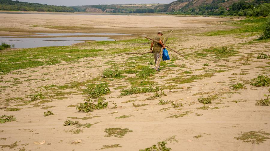 Un hombre transporta leña por una zona que normalmente está sumergida por las aguas del río Danubio, en medio de los bajos niveles de agua en Rasova, Rumania, el lunes 3 de agosto de 2026.