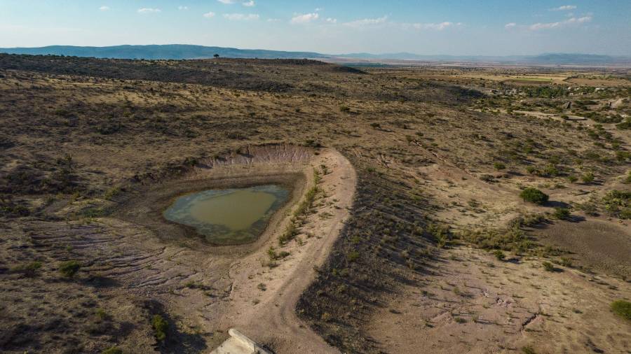 Riesgos amenazan directamente la estabilidad de la cartera del sector agropecuario y alimentario.