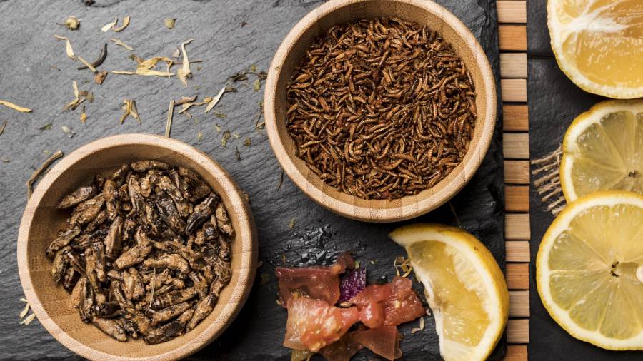 Además de su particular sabor y textura, los chapulines aportan proteínas, minerales y otros nutrientes.