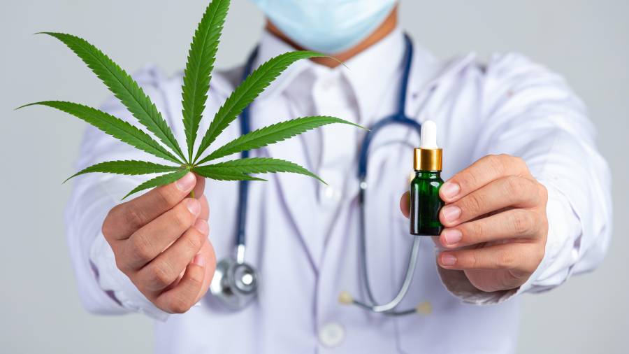 El consumo de cannabis medicinal puede implicar algunos riesgos. Los principales son: psicosis, cardiopatías, problemas durante el embarazo, enfermedades hepáticas, adicción y sobredosis.