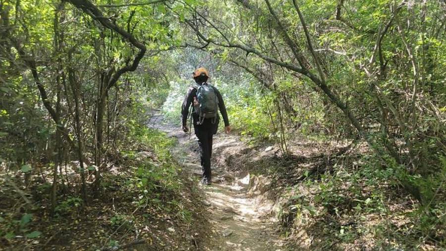 Autoridades estatales recomiendan no acercarse a estos animales, mantener la calma y reportar cualquier encuentro al número de emergencias 911.