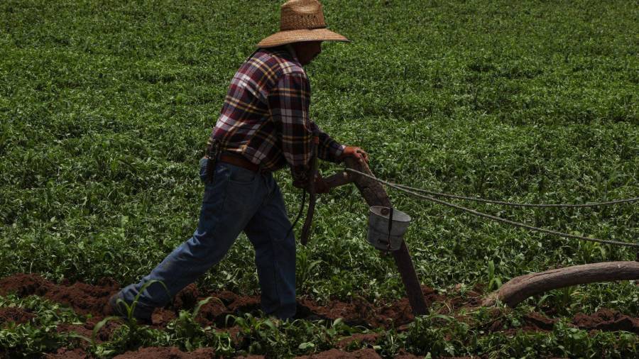 Con la meta de recuperar 3 mm de metros cúbicos para consumo humano hacia el 2030, la Conagua condicionará los apoyos públicos del agua ahorrada y reducirá la vigencia de los títulos.