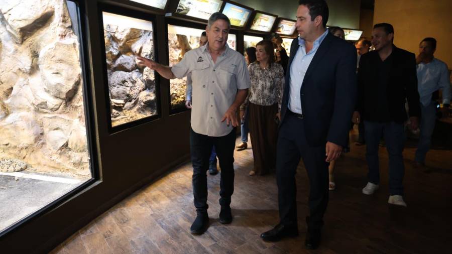 Noche de Museos permite recorrer espacios culturales en horarios extendidos.