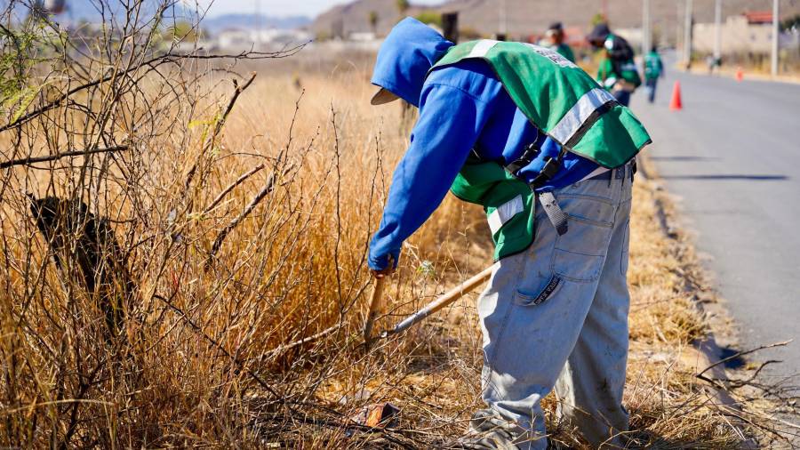 Las jornadas de descacharrización y deshierbe permiten prevenir riesgos sanitarios y recuperar espacios públicos para la convivencia familiar.