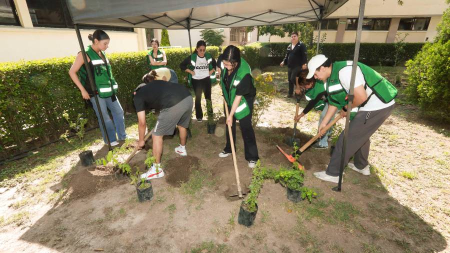 La instalación de un nuevo espacio en el Campus Central permitió alcanzar cobertura total en las tres unidades académicas de la UAdeC.