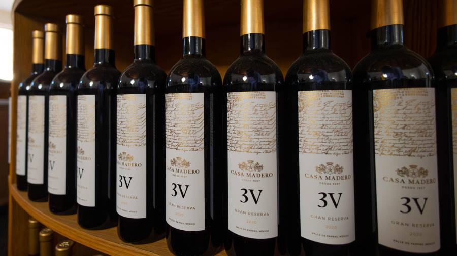 El desempeño de 2025 marca un antes y un después para Casa Madero.