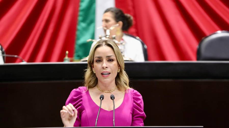 La diputada Verónica Martínez presentó la iniciativa desde la tribuna del Palacio de San Lázaro.