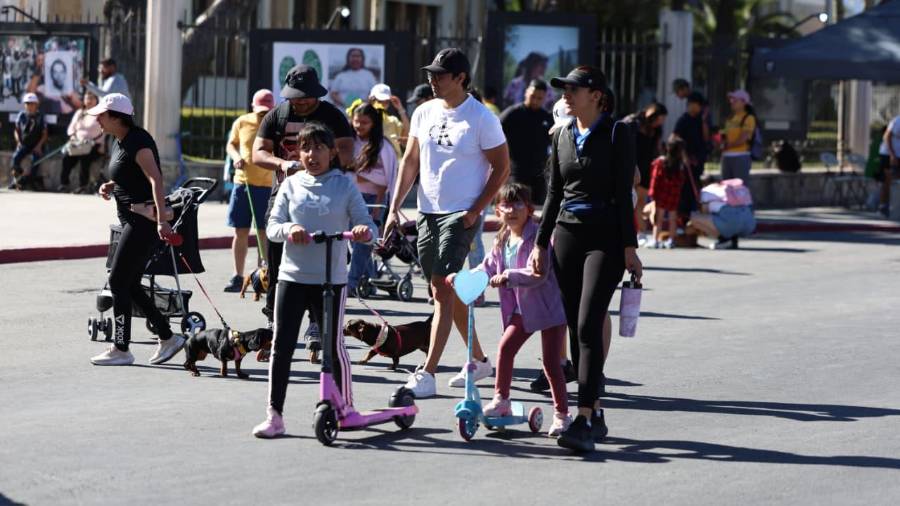 Familias recorrieron el bulevar Venustiano Carranza en la Ruta Recreativa.
