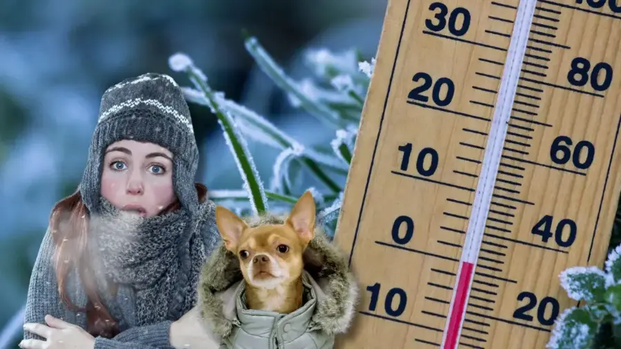 El solsticio de invierno marca oficialmente el inicio de la estación invernal en México. También conocido como “el día más corto y la noche más larga del año”.