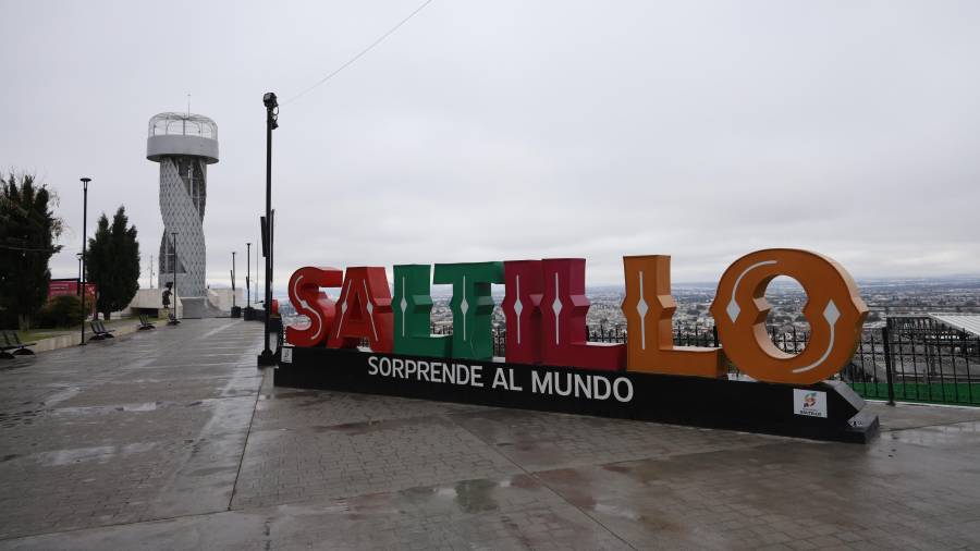 Saltillo, Coah. Mex. 11 de enero del 2025 Con la llegada del frente frio n27 se presentaron temperaturas bajo cero en la ciudad, lo que hizo que el hielo cubriera plantas al sur de la ciudad