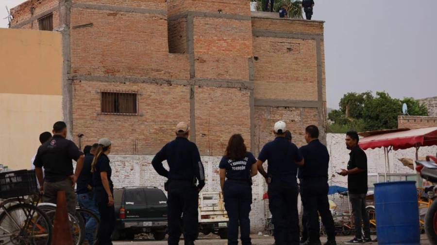La pantera fue asegurada por la Profepa después de permanecer varios días en libertad en distintos sectores de Torreón, Coahuila, y Lerdo, Durango.