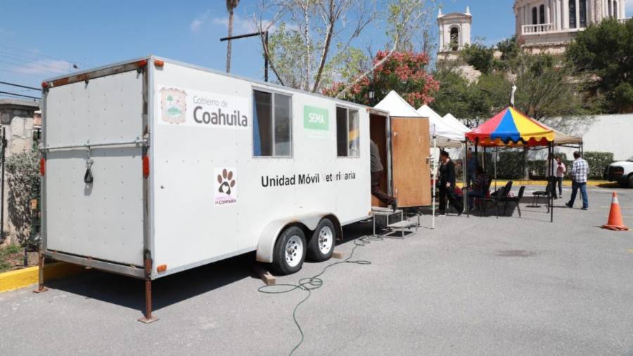 Control. Es permanente la campaña de esterilización de mascotas; se cobra una cuota de recuperación.