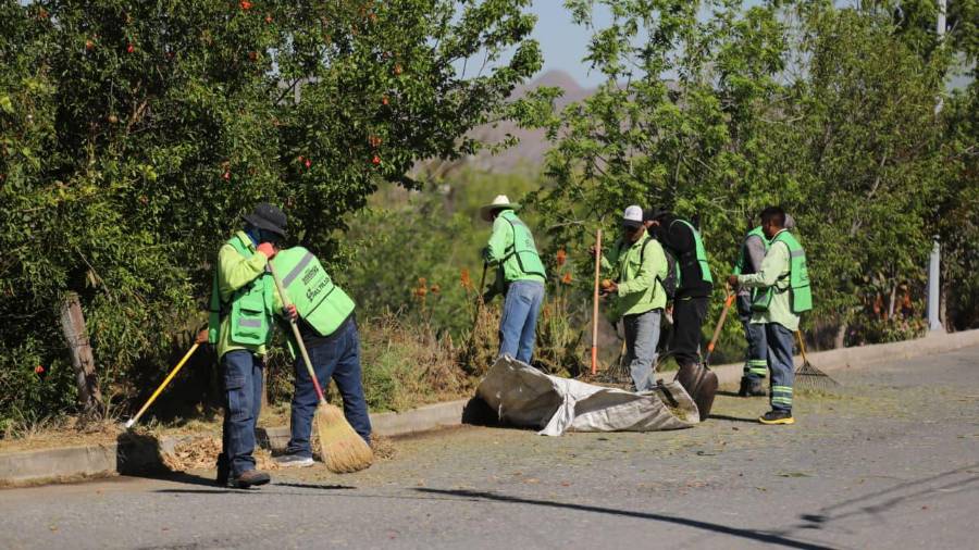 Se ejecutan acciones de rehabilitación de vialidades aprovechando el periodo vacacional.