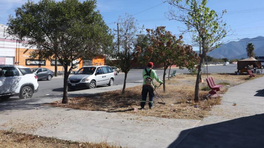 Cuadrillas municipales despejaron camellones en bulevares como Otilio Zurdo Galván.