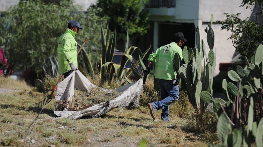 Personal del programa “Aquí Andamos” realizó trabajos de deshierbe y mantenimiento en áreas verdes para mejorar la imagen urbana y prevenir focos de infección.