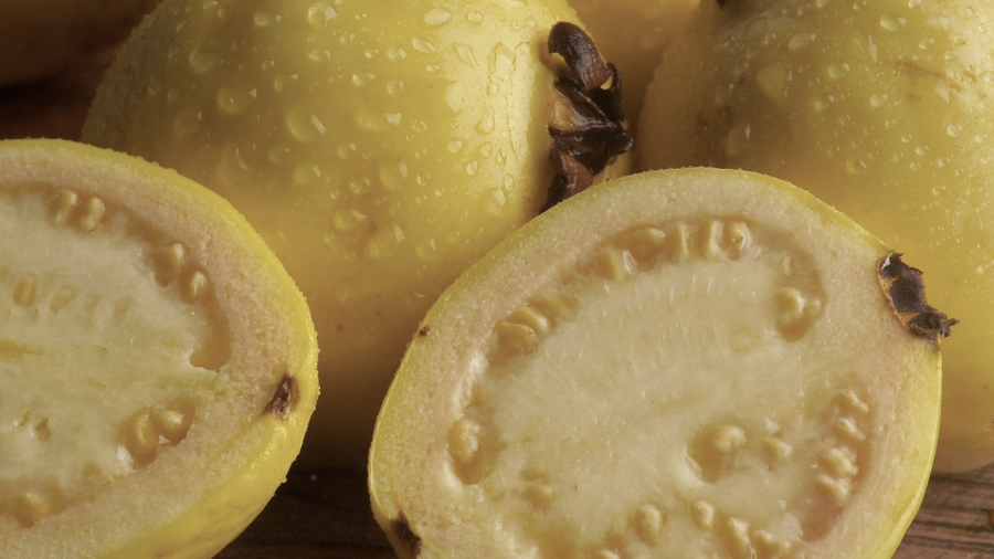 El ingrediente de hoy: Gastronomía Poblana.