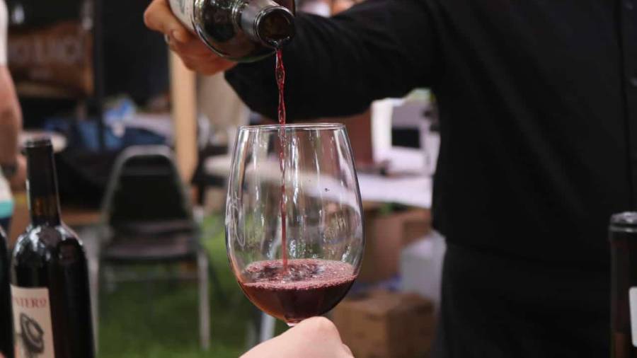 Parras se consolida como la joya del vino de México en la Gran Vendimia