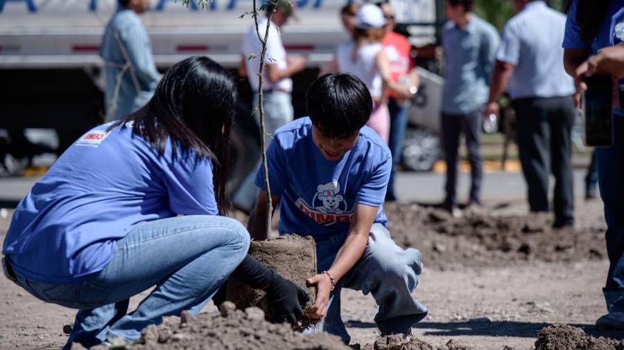 Este sábado se realizó una jornada de arborización en el Bosque Lineal Urbano del bulevar Fundadores.