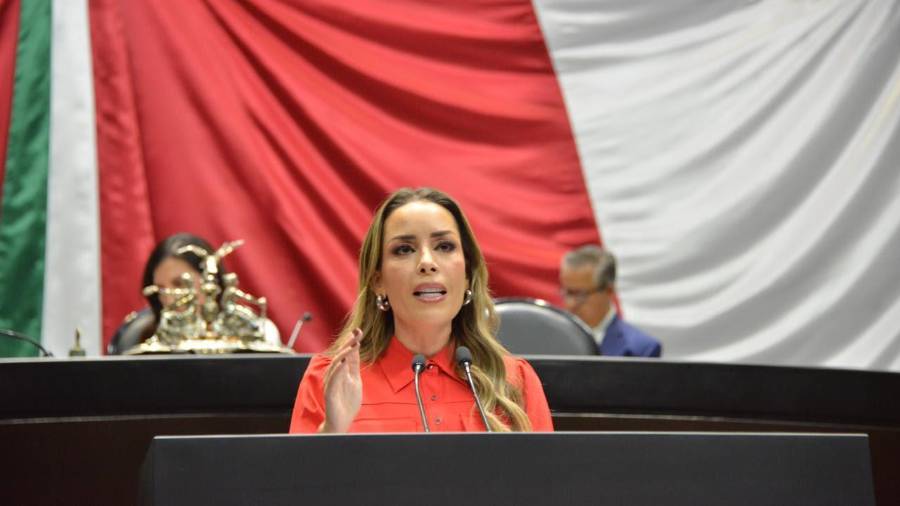 La diputada federal Verónica Martínez García durante la presentación de su iniciativa para reformar la Ley Orgánica del Congreso de la Unión.