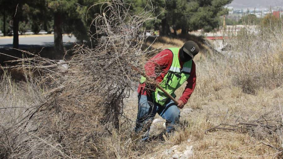 El objetivo es mantener libres los cauces naturales para prevenir inundaciones y encharcamientos.