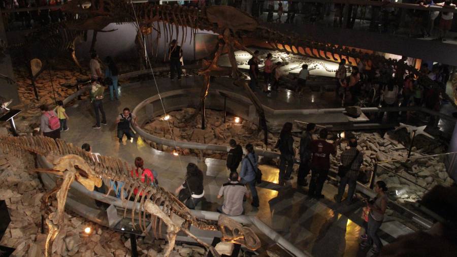 Coahuila, noveno estado con más visitantes a museos en México