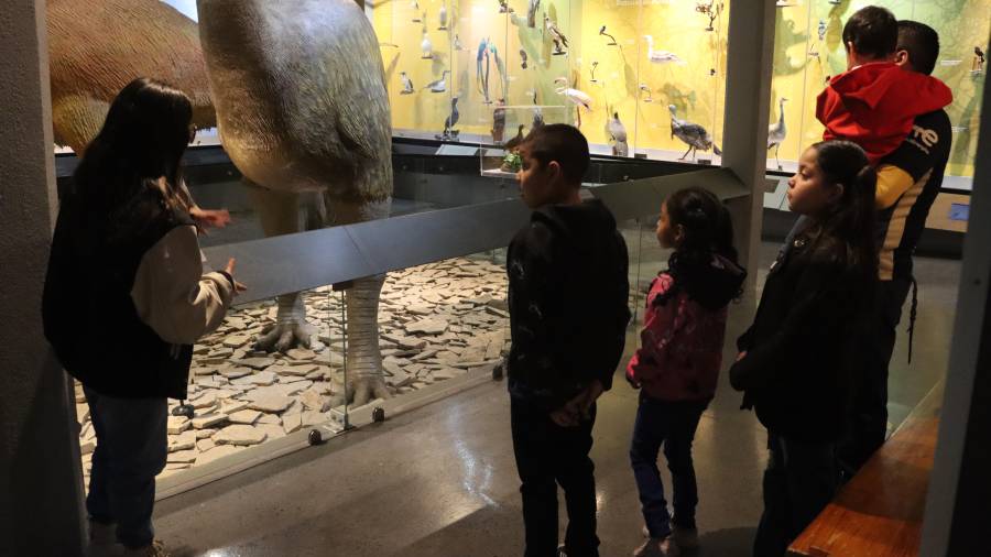 Se impulsa el turismo cultural como opción vacacional.