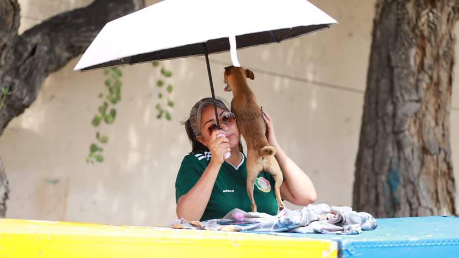 Durante la jornada también se ofrecieron servicios de vacunación, desparasitación y esterilización.